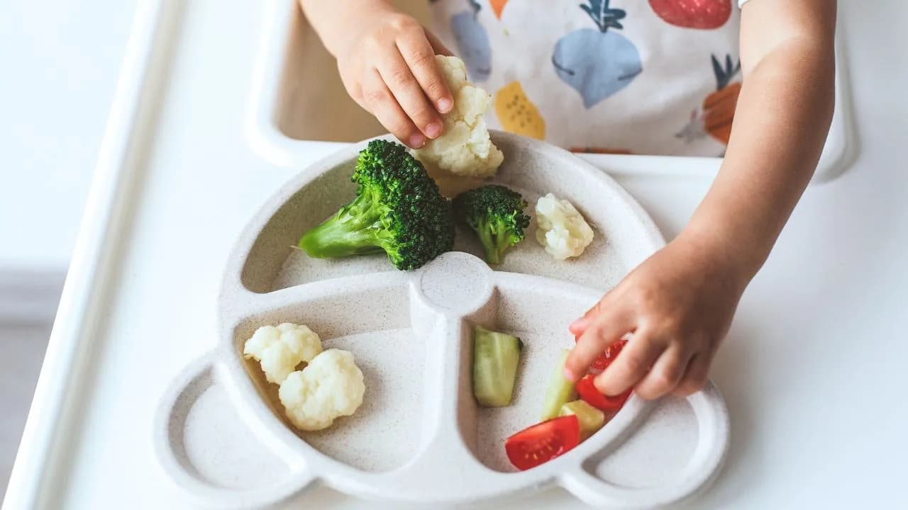 Dieta Vegana na Infância: O Que o Pediatra Precisa Saber